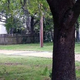 A judge on Dec. 5, 2016, declared a mistrial in the murder case against now-former North Charleston, S.C., Police Officer Michael Slager (shown above, right), in the April 2015 fatal shooting of Walter Scott (left).
CNN Screenshot